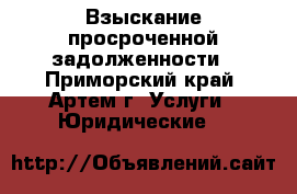Взыскание просроченной задолженности - Приморский край, Артем г. Услуги » Юридические   